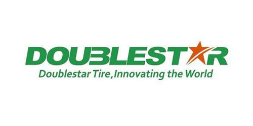 Double Star logo